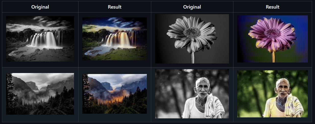 AI Picture Colorizer